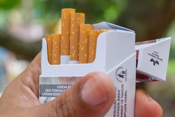 24+ Free Cigarette Mockups | Free Photoshop Mockups Download